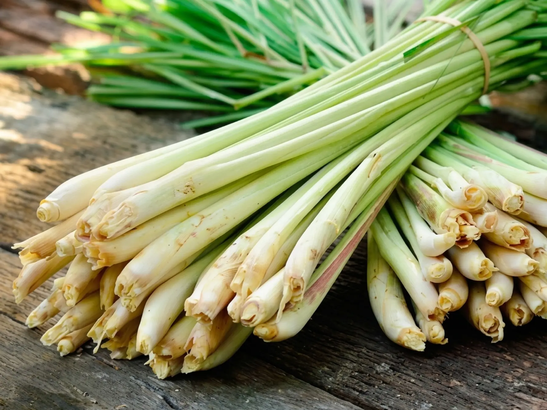 Lemongrass